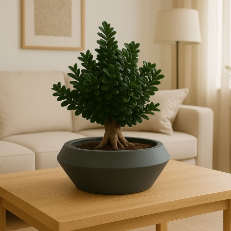 Vaso a ciotola 60x27cm in polietilene Olimpico 60 Kloris -10