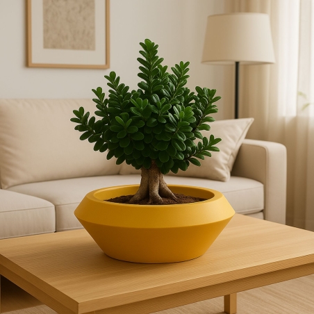 Vaso a ciotola 60x27cm in polietilene Olimpico 60 Kloris -13