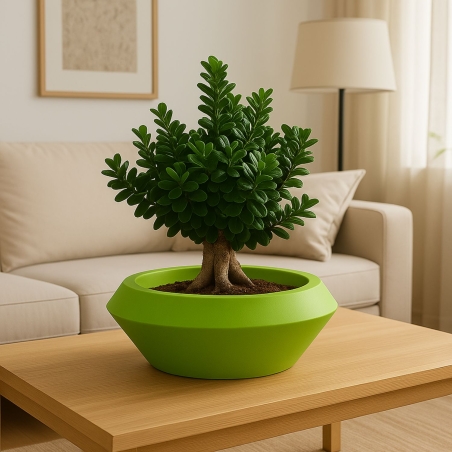 Vaso a ciotola 60x27cm in polietilene Olimpico 60 Kloris -12