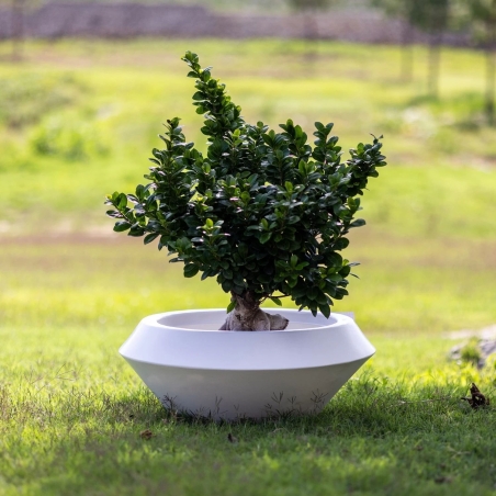 Vaso tondo in polietilene Olimpico 70 Kloris -10