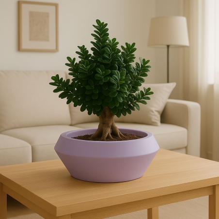 Vaso tondo in polietilene Olimpico 70 Kloris -5