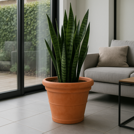 copy of Vaso tondo piante e fiori 40 cm Kloris -5