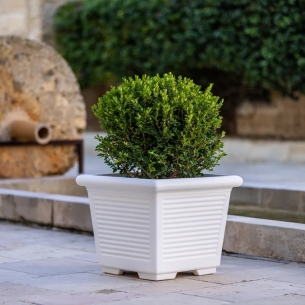 Vaso a tutta capienza in polietilene 50 Millerighe -1