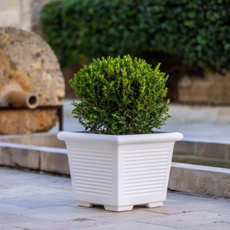 Vaso a tutta capienza in polietilene 50 Millerighe -1