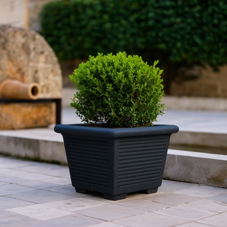 Vaso a tutta capienza in polietilene 50 Millerighe -6