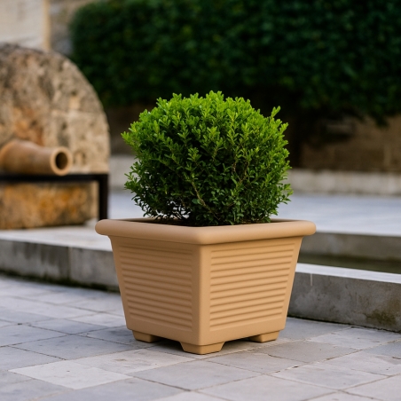 copy of Vaso rettangolare millerighe 80 Kloris -5