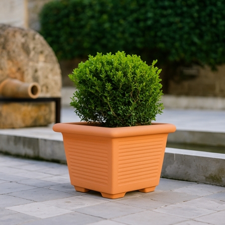 Vaso a tutta capienza in polietilene 50 Millerighe -4