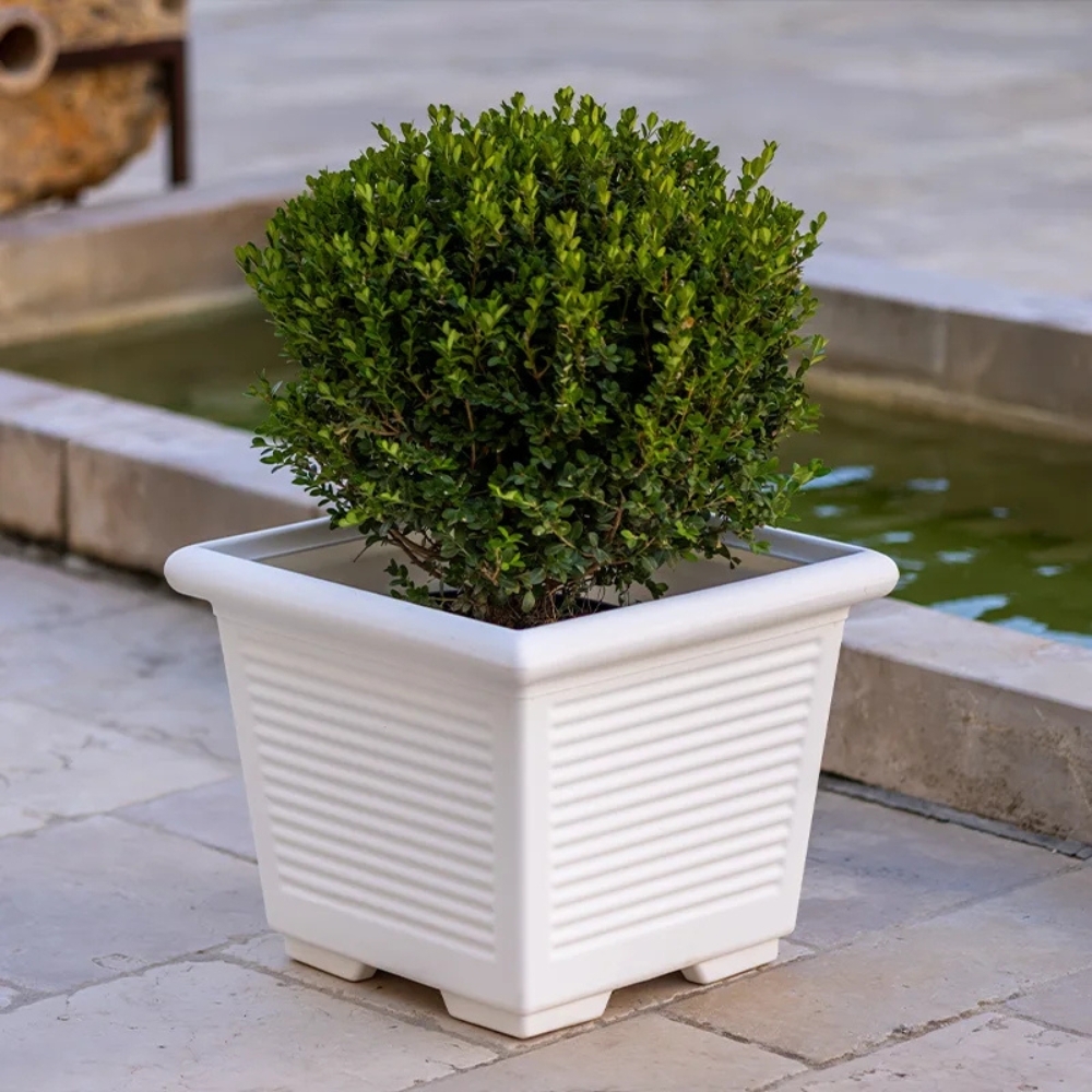 Vaso a tutta capienza in polietilene 50 Millerighe -2