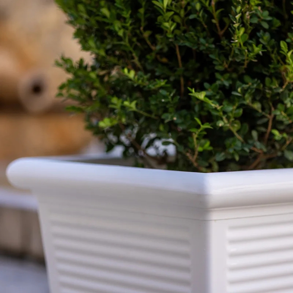 copy of Vaso rettangolare millerighe 80 Kloris -8