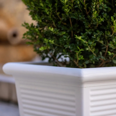 Vaso a tutta capienza in polietilene 50 Millerighe -8