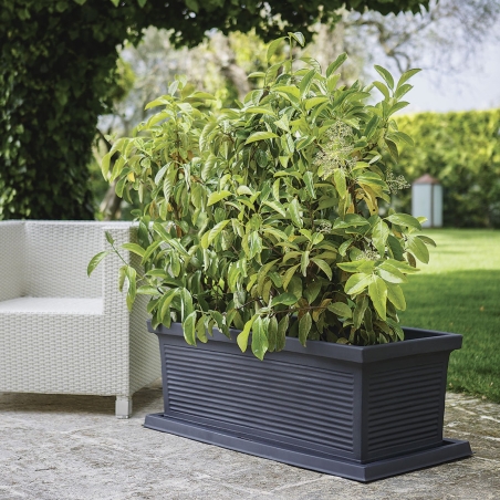 Fioriera in polietilene da 80 cm e 100 cm Millerighe Rome Monacis -3