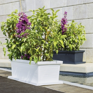 Fioriera in polietilene da 80 cm e 100 cm Millerighe Rome Monacis -1