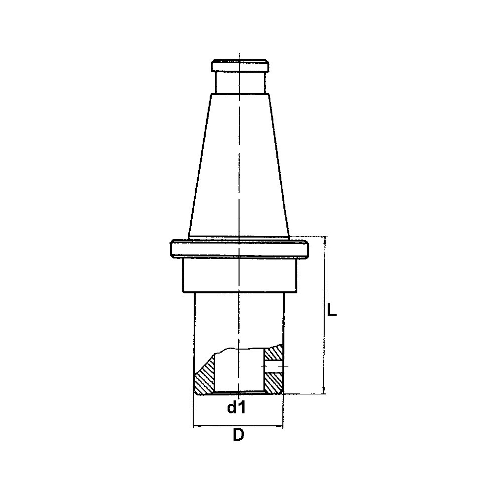 Mandrino porta frese tipo weldon FERVI 4/32B50 con iso 50 e d1 - h6 32 mm -2