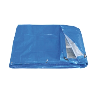 FERVI Telo Polietilene Pesante Anellato 6x10 m Grigio-Blu