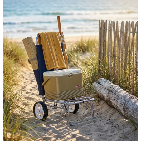 Carrello da spiaggia e campeggio con maniglia BEACHEDENYA