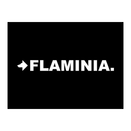 FLAMINIA