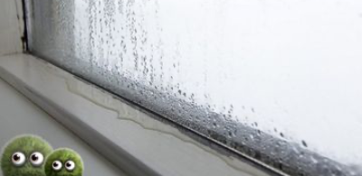 Pittura antimuffa per interni: la miglior soluzione contro la muffa